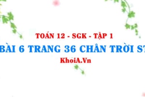 Bài 6 trang 36 Toán 12 Tập 1 Chân trời sáng tạo